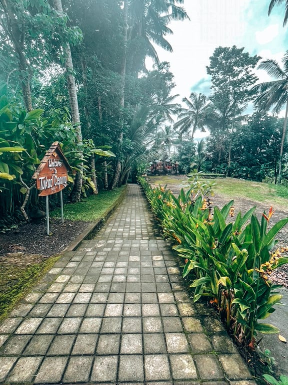 path to tukad cepung waterfall 