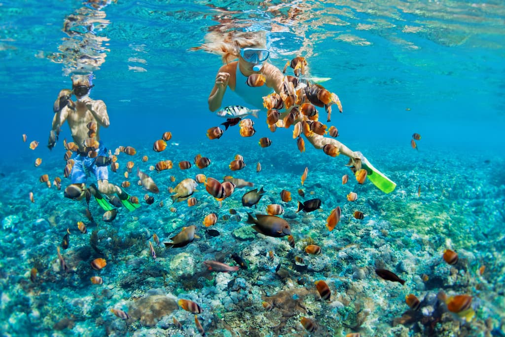 Most Isla Mujeres tours from Cancun include snorkelling.