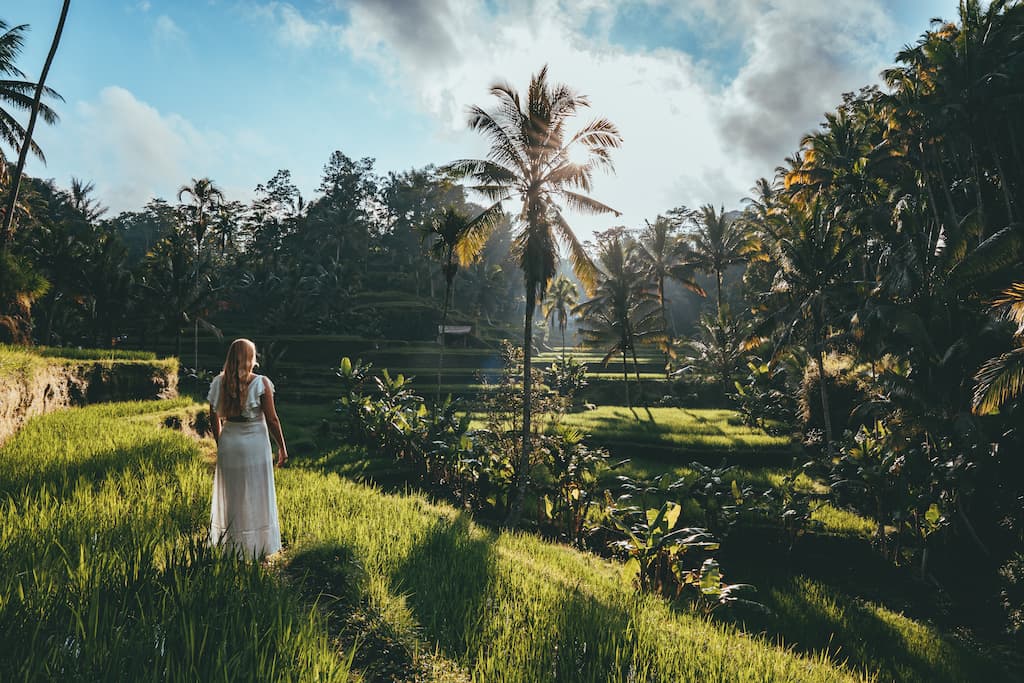 The Ultimate Ubud Itinerary For 4 Days