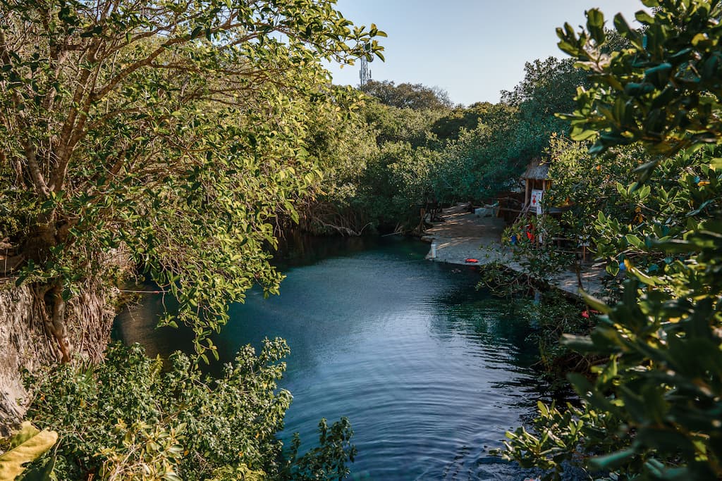 Cenote Cristalino Tulum: All You Need To Know To Visit This Hidden Gem