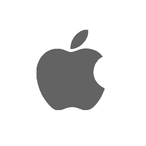 Apple iPhone Reparatur