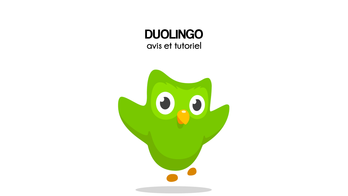 guide et avis de application d'apprentissage en ligne des langues duolingo