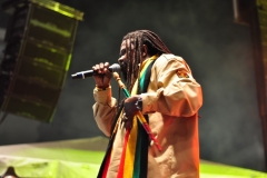 Miami-Reggae-Festival-2012-Gallery-471