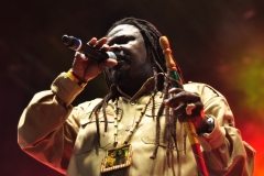 Miami-Reggae-Festival-2012-Gallery-480