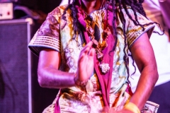 Miami-Reggae-Festival-by-TracyAnn-2019_292