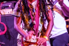 Miami-Reggae-Festival-by-TracyAnn-2019_298