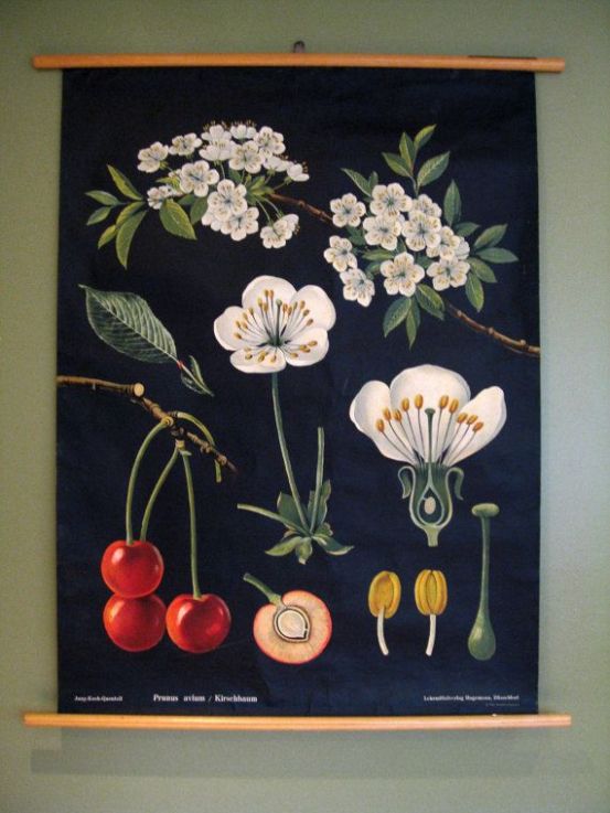 Featured Photo of Vintage Botanical Wall Hanging