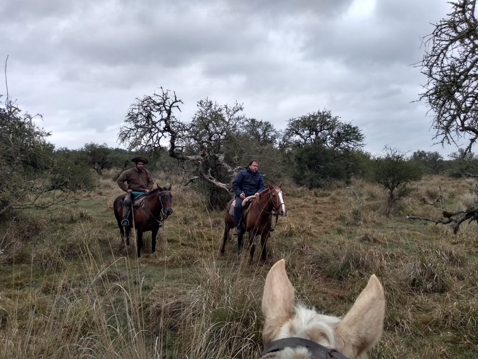 Devido à dificuldade no acesso ao local onde estão os insetos, técnicos argentinos precisaram chegar à cavalo — Foto: Senasa/Divulgação