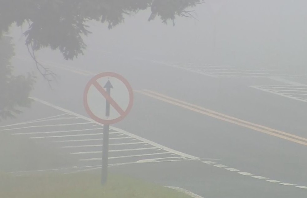 Neblina dificultou o trânsito na rodovia em Botucatu  (Foto: Reprodução / TV TEM )