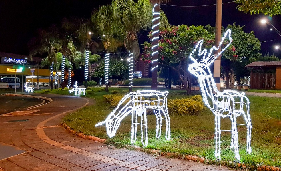 Decoração de Natal feita pela Prefeitura de Araraquara — Foto: Prefeitura de Rio Claro/Divulgação