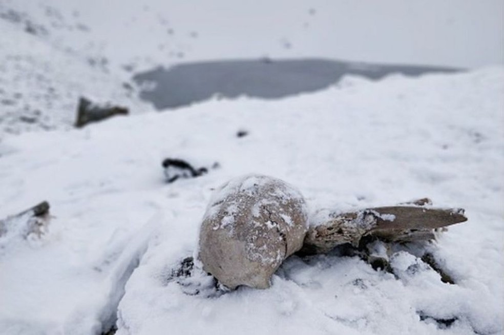 Esqueletos ficam boa parte do ano encobertos por neve e gelo — Foto: GETTY IMAGES/BBC
