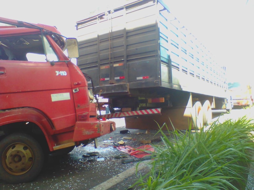 Homem morre ao ser atropelado no acostamento de rodovia em Promissão — Foto: Polícia Rodoviária/Divulgação