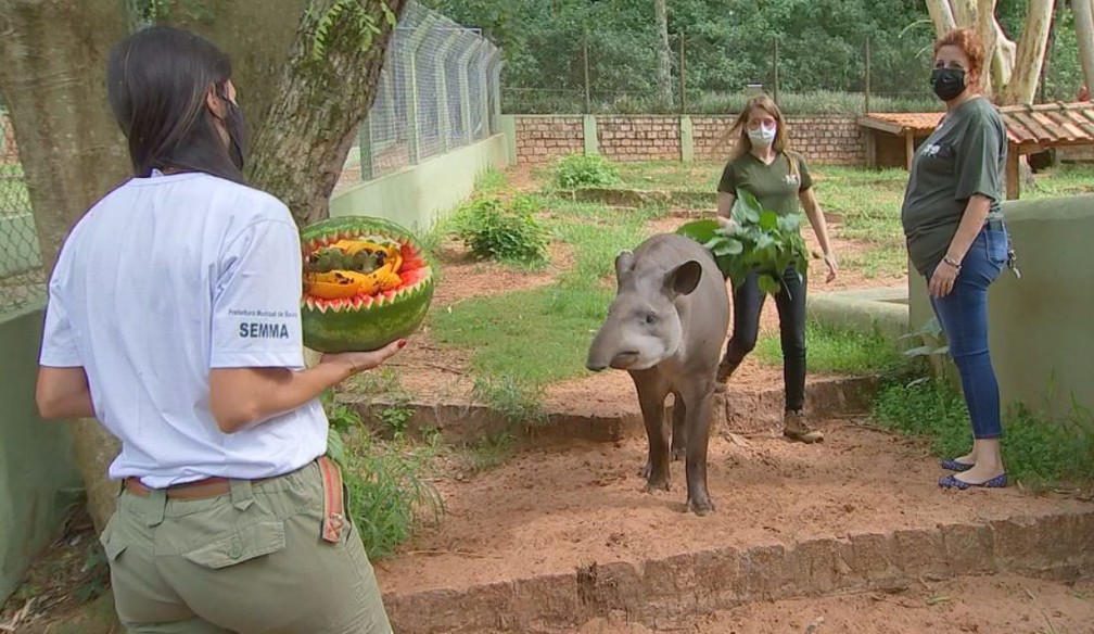 Iniciativa é dos funcionários do Zoo de Bauru — Foto: TV TEM /Reprodução 