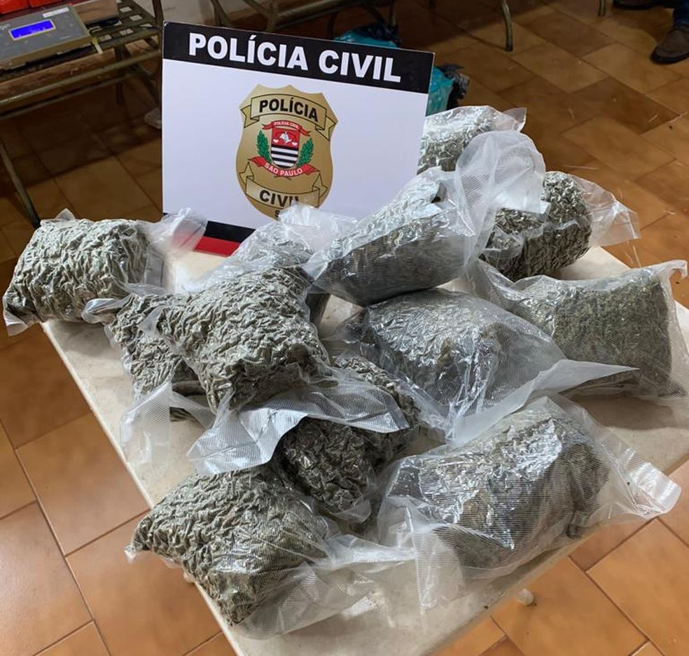 4,5 quilos de skank embalado a vácuo foram apreendidos — Foto: Polícia Civil/Divulgação