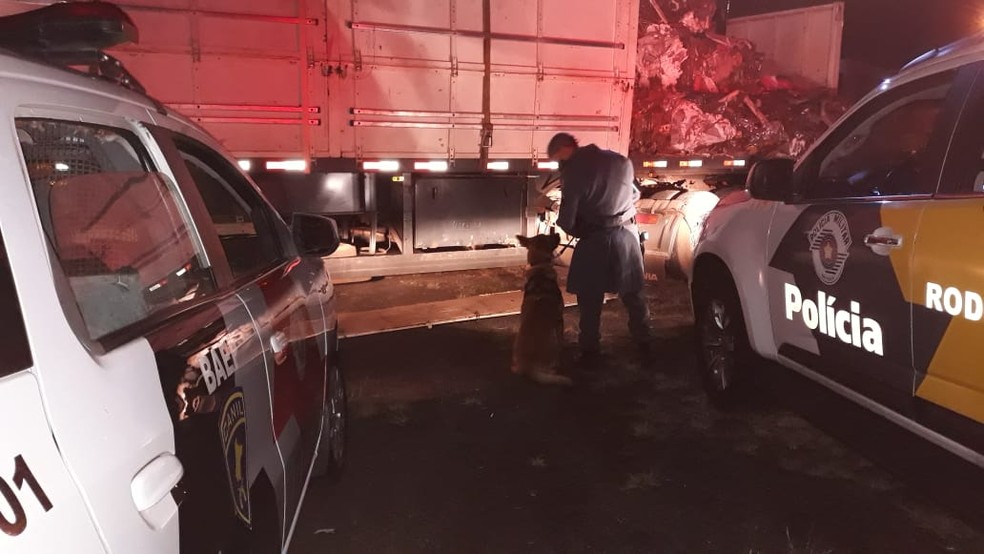 Abordagem do caminhão com placas de Ponta Porã (MS) foi feita na Rodovia Raposo Tavares em Assis — Foto: Polícia Rodoviária/Divulgação