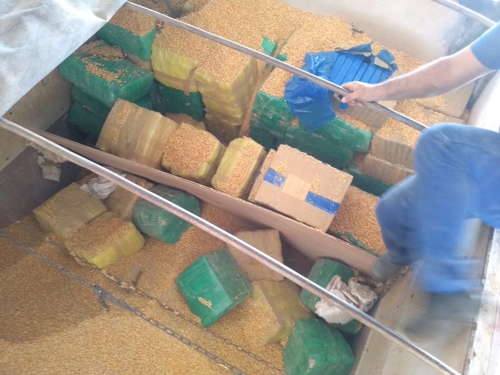 Tabletes e fardos de maconha foram encontrados em carga de bitrem durante fiscalização em rodovia de Avaré (SP) — Foto: Polícia Militar Rodoviária/Divulgação