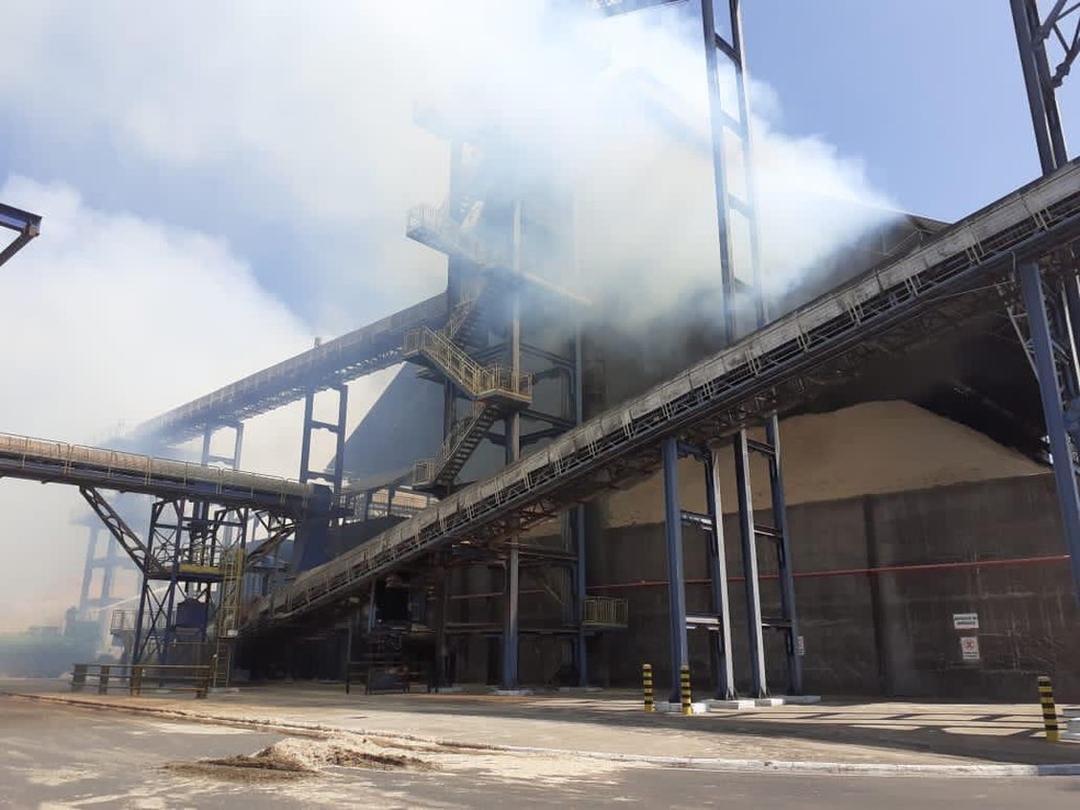 Usina pegou fogo por volta das 10h desta sexta-feira (23) em Lins — Foto: J. Serafim/Divulgação