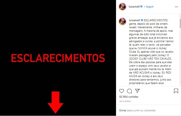 Luisa Mell faz esclarecimento de denúncia (Foto: Reprodução/Instagram)