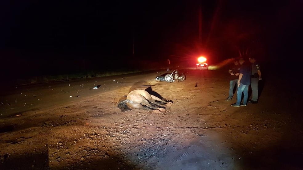 Mulher morre após moto bater em cavalo solto na pista em Jaú — Foto: Arquivo Pessoal/Luiz Andretto