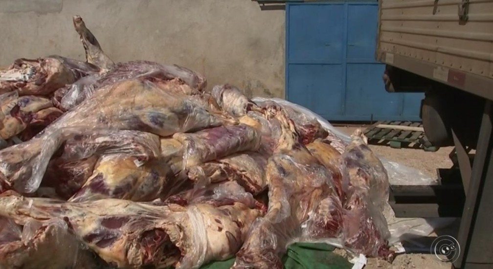 Policia Militar apreendeu 24 toneladas de carne em borracharia em Boituva (Foto: Reprodução/TV TEM)