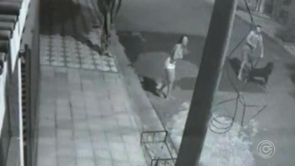 Depois de jogar gato em direção ao cachorro, a jovem segue andando na rua em Sorocaba — Foto: Reprodução