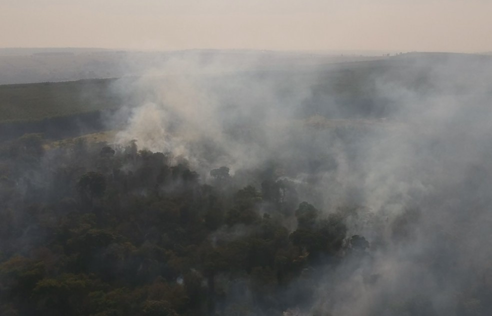 Bombeiros trabalham mais de 24 horas para conter queimada na Estação Ecológica de Bauru  — Foto: TV TEM/Reprodução
