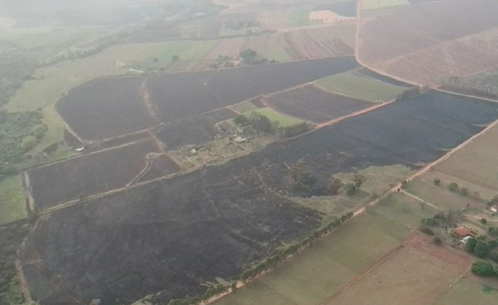 Área equivalente a cerca de 500 campos de futebol foi atingida na região de Jaú  — Foto: Central de Notícias / Divulgação 