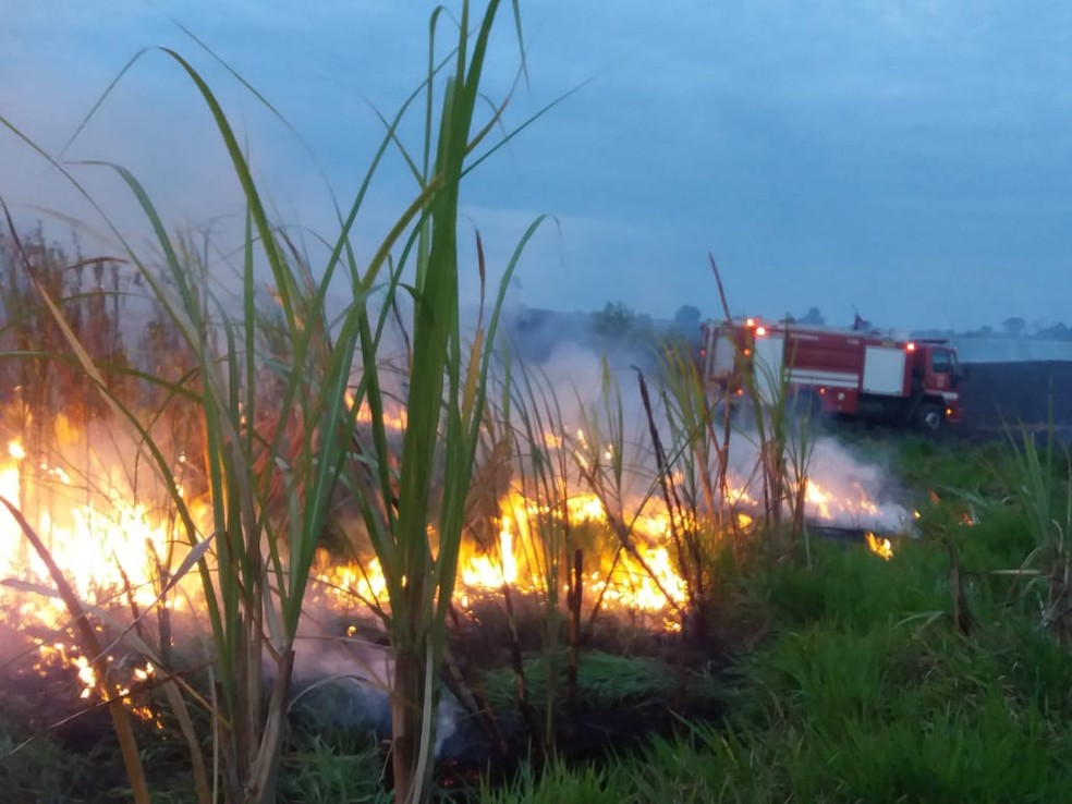 Plantação de cana e área de preservação pegam fogo em Cerqueira César  — Foto: Corpo de Bombeiros/Divulgação 