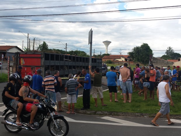 Motorista tenta evitar roubo de carga, mas caminhão de gado tomba em Piracicaba (Foto: Claudia Assencio/G1)