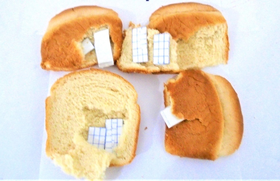 Em agosto deste ano, agentes do CPP-2 flagraram ‘maconha sintética’ enviada por mãe de detento em fatias de pão de forma — Foto: SAP/Divulgação