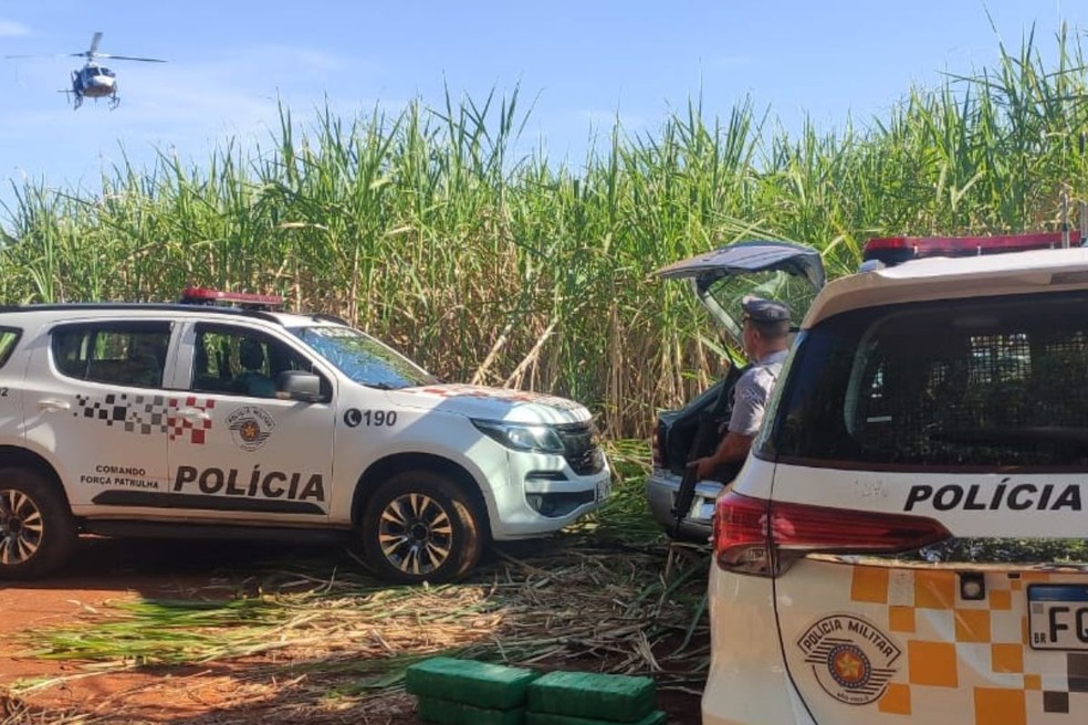 Grande quantidade de maconha é apreendida pela Polícia Rodoviária após perseguição em Ibirarema — Foto: Polícia Rodoviária/Divulgação