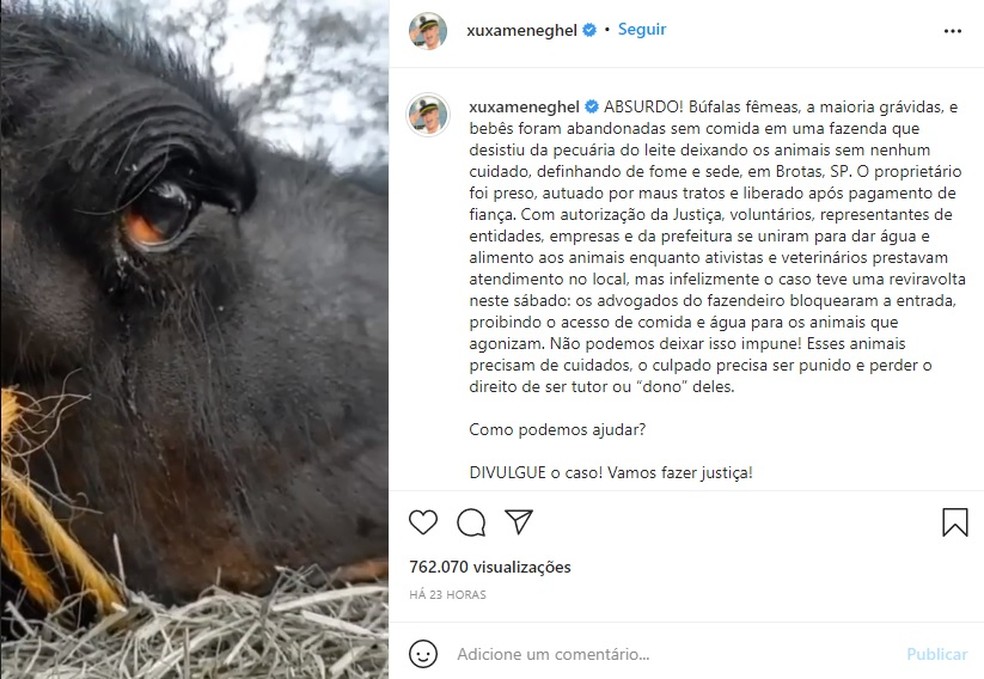 Xuxa Meneghell se pronunciou nas redes sociais sobre o caso dos búfalos de Brotas — Foto: Reprodução/Instagram