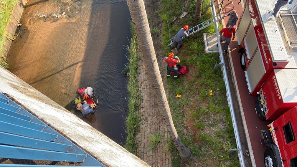 Bombeiros resgataram cadeirante ainda com vida de rio em Bauru; homem não resistiu aos ferimentos — Foto: Alisson Negrini/TV TEM
