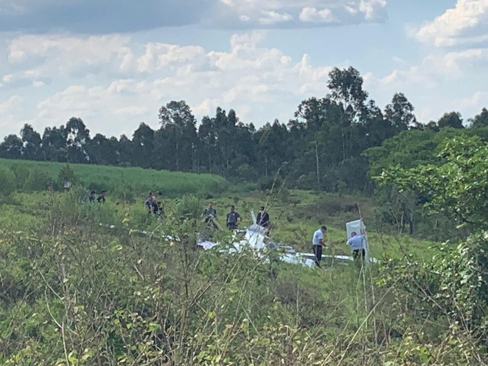 Avião caiu em uma área de mata às margens de rodovia em São Pedro — Foto: Giuliano Tamura/EPTV