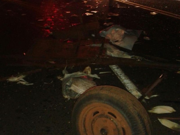 Carroça ficou destruída após a batida em Cândido Mota  (Foto: Assiscity/ Divulgação)