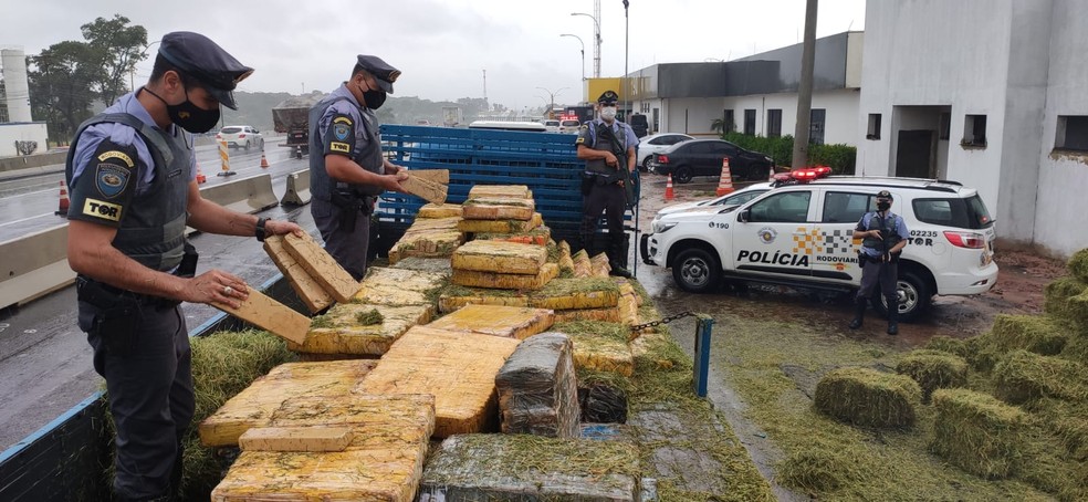 Mais de 4 mil tijolos de maconha foram apreendidos em Paulistânia — Foto: Polícia Rodoviária/Divulgação