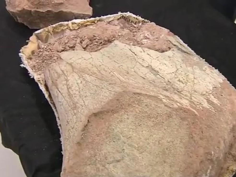 Escavação indica indícios de vida há 65 milhões de anos na região de Marília — Foto: TV TEM/Reprodução