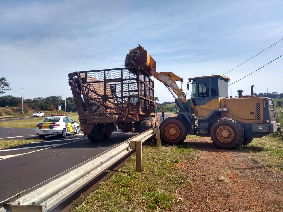 Carga de cana-de-açúcar ficou espalhada em rodovia de Cerqueira César (SP) — Foto: Rafael Honorato/TV TEM