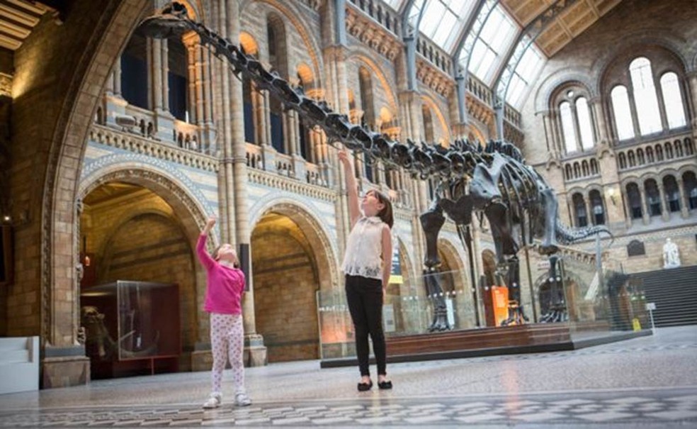 O esqueleto do dinossauro diplodoco apelidado de 'Dippy' tornou-se um símbolo do Museu de História Natural de Londres (Foto: Museu de História Natural de Londres)