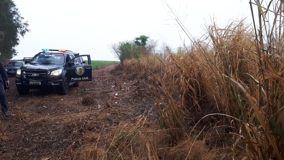 Corpo de Mariana foi encontrado em uma área de canavial na região de Ibitinga — Foto: Polícia Civil / Divulgação 