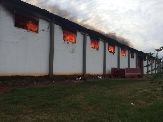 Incêndio de grandes proporções atingiu granja de Bastos (Foto: Corpo de Bombeiros/Divulgação)