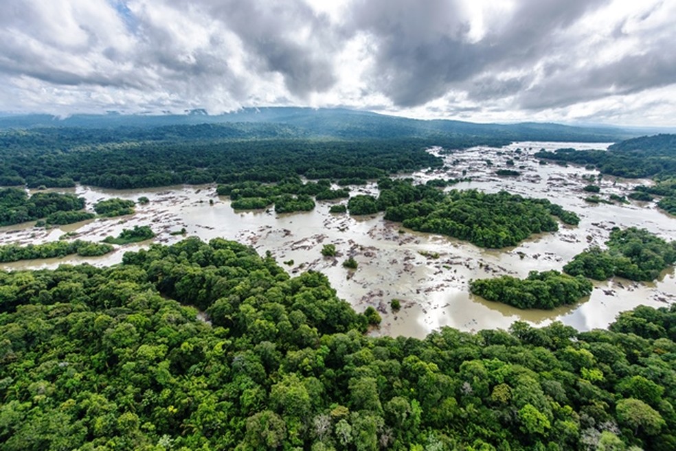 Parque Amazônico da Guiana, na Amazônia, é a maior reserva florestal da França — Foto: Guillaume Feuillet/Parc amazonien de Guyane