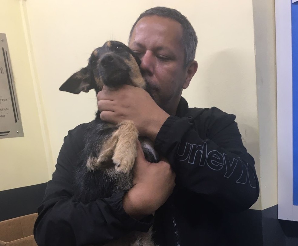 Cachorro que foi drogado com cocaína após ser resgatado — Foto: Arquivo Pessoal