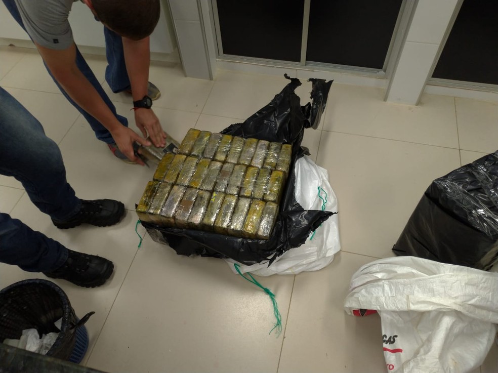 Quantidade de droga apreendida foi recorde no estado — Foto: Divulgação/Polícia Federal