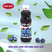 Sinh tố Vina - Mứt Việt Quất 1000ml