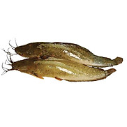 Cá trê vàng nuôi bằng sữa tươi - CKFoods - 500 g