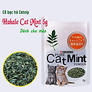 Cỏ bạc hà catnip cho mèo gói 5g