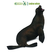 Mô hình thu nhỏ Sư Tử Biển - Sea Lion, hiệu CollectA, mã HS 9652070