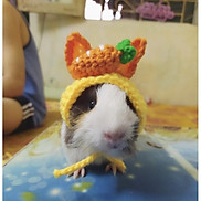 mũ nón cho chuột lang, bọ ú thỏ cà rốt