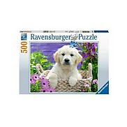 Xếp hình puzzle Sweet Golden Retriever 500 mảnh RAVENSBURGER 148295